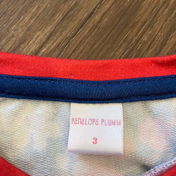 Penelope Plumm Floral Sweatshirt Top Shirt Multicolor Spring Bright 3T - Picture 10 of 11